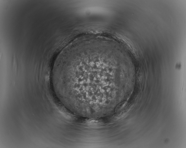 X0000093730315200711061007