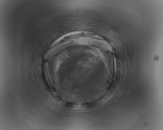 X0000093730319200711061007