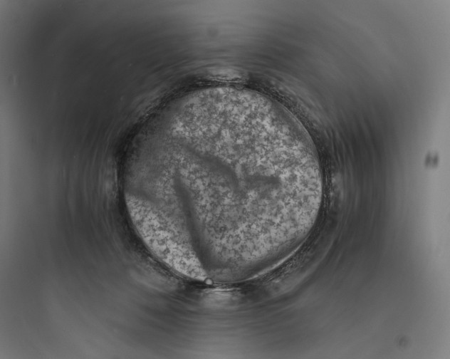 X0000093730320200711061007