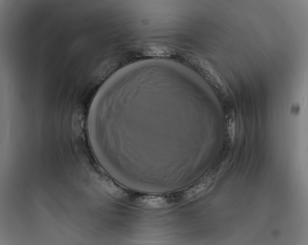 X0000093730322200711061006