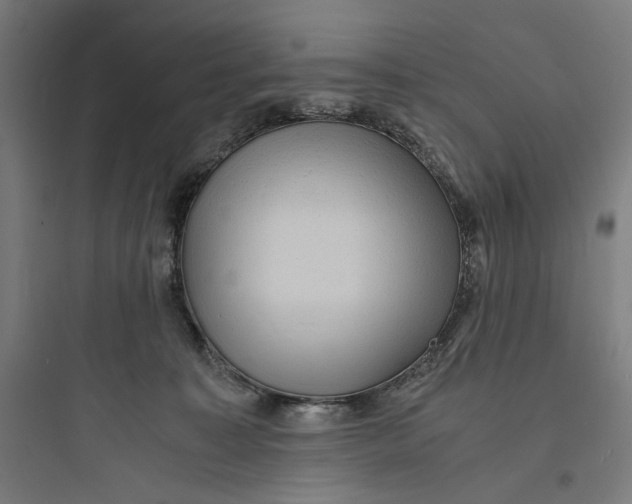 X0000093730323200711061006