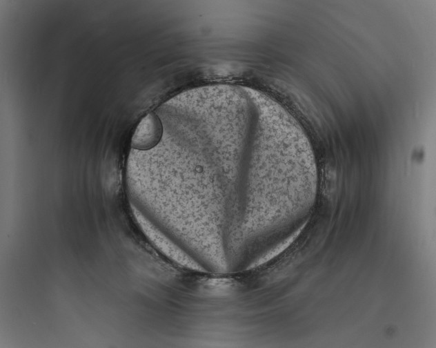 X0000093730324200711061006