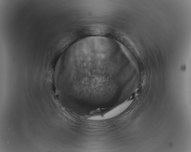 X0000093730325200711061006