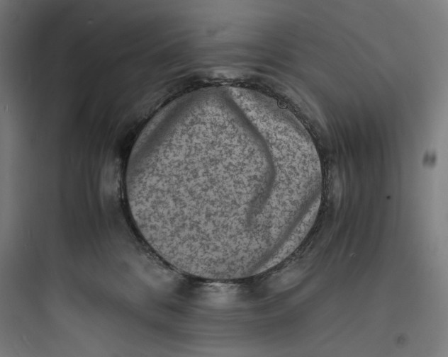 X0000093730328200711061006