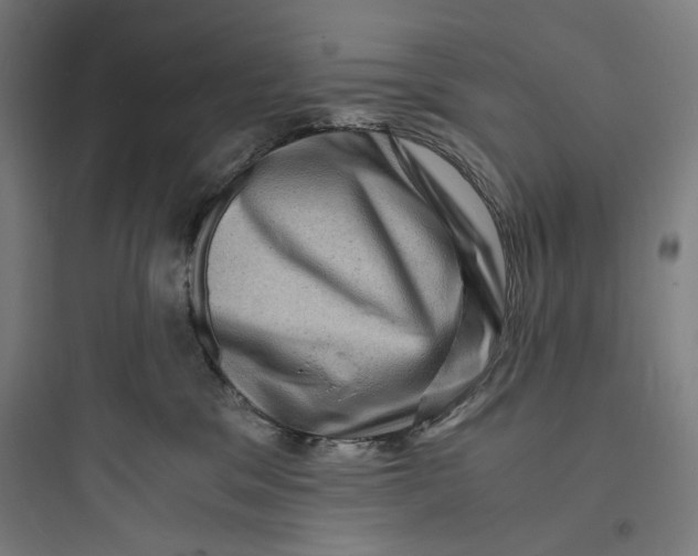 X0000093730329200711061006