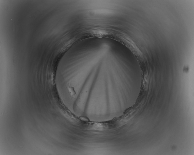 X0000093730330200711061006