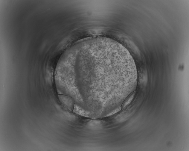 X0000093730332200711061006