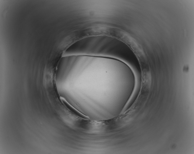 X0000093730333200711061006