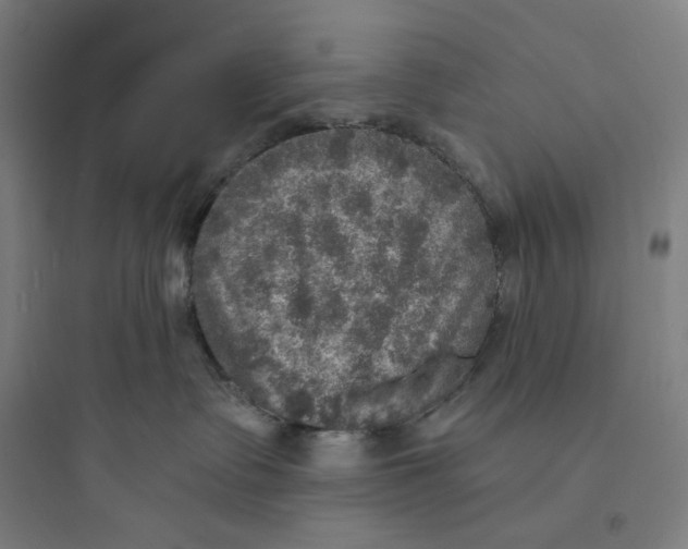 X0000093730335200711061006