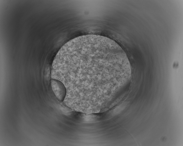 X0000093730336200711061006