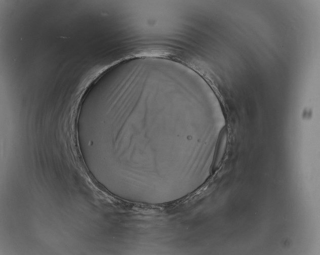 X0000093730337200711061006