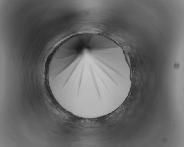 X0000093730338200711061006