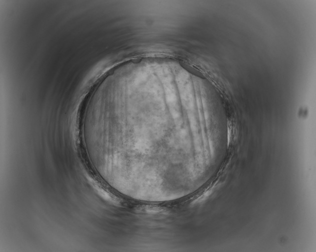 X0000093730339200711061006