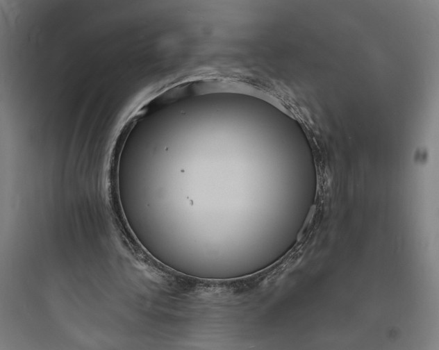 X0000093730340200711061006