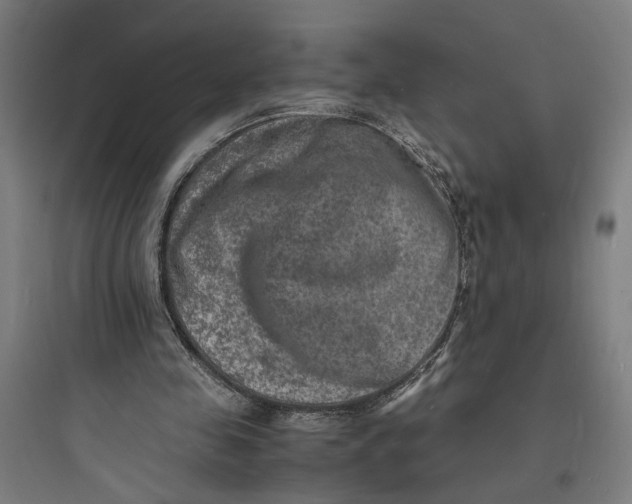 X0000093730341200711061006