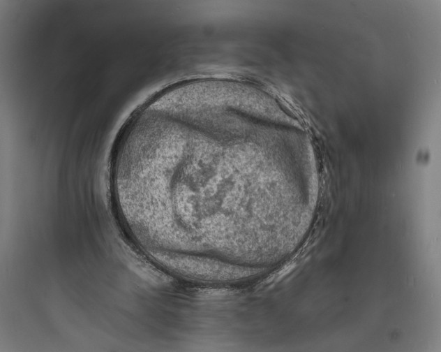 X0000093730342200711061006