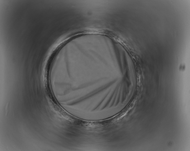 X0000093730343200711061006