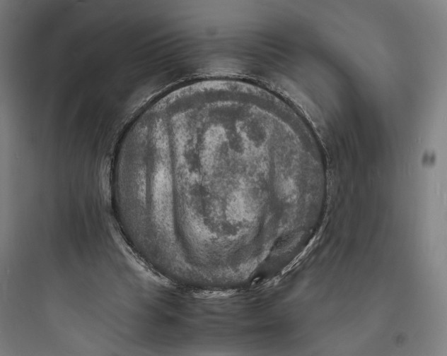 X0000093730345200711061006