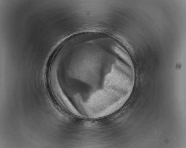 X0000093730346200711061006