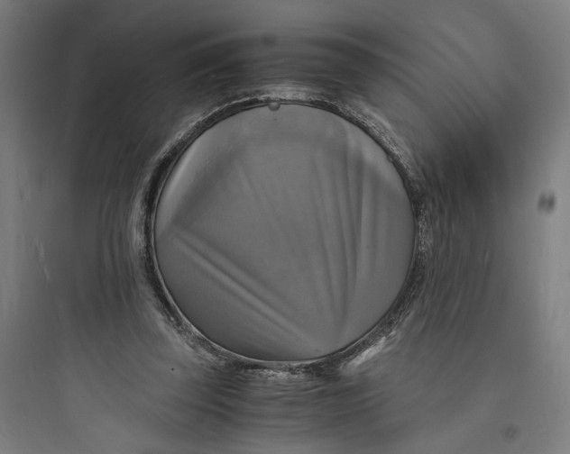 X0000093730347200711061006