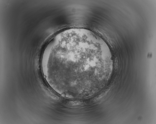 X0000093730351200711061006