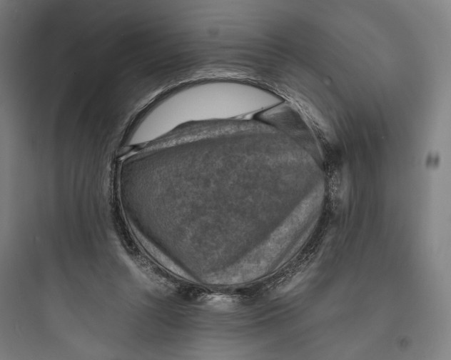 X0000093730352200711061006