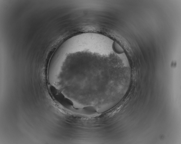 X0000093730353200711061006