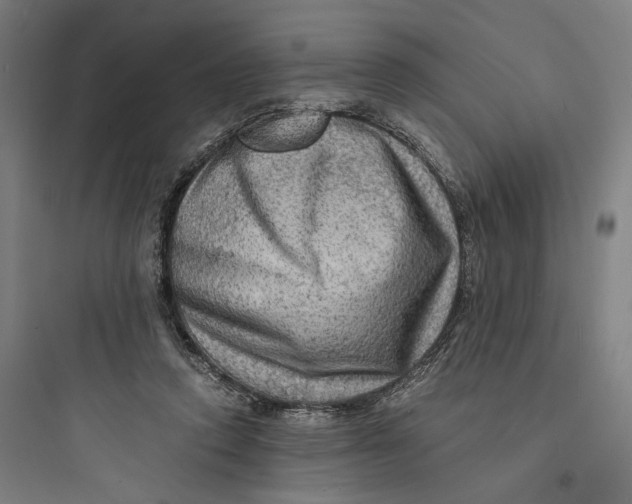 X0000093730354200711061006