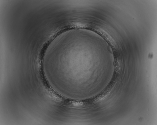 X0000093730355200711061006