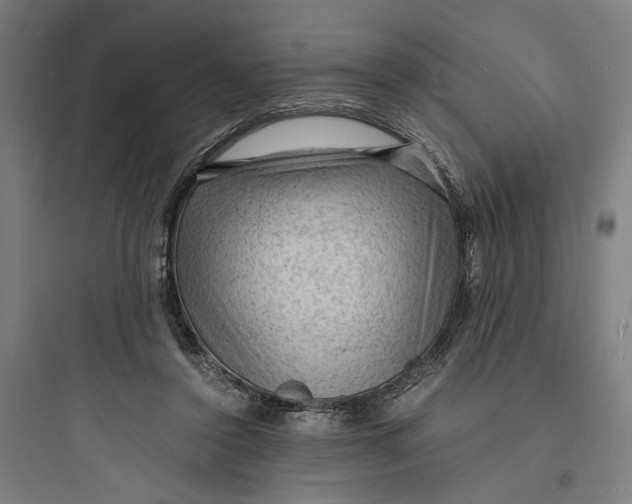 X0000093730356200711061006