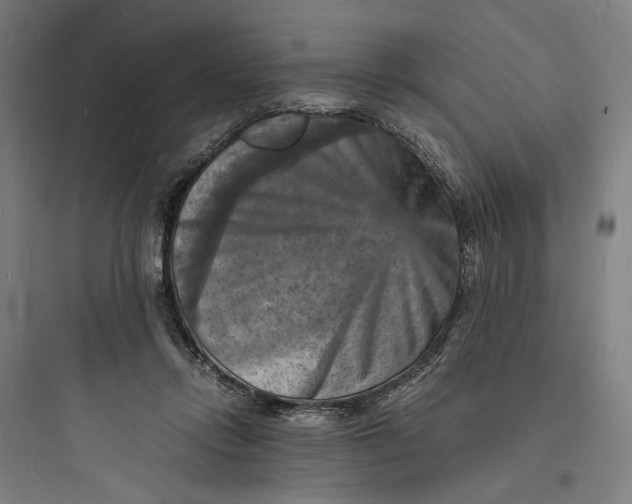 X0000093730358200711061006