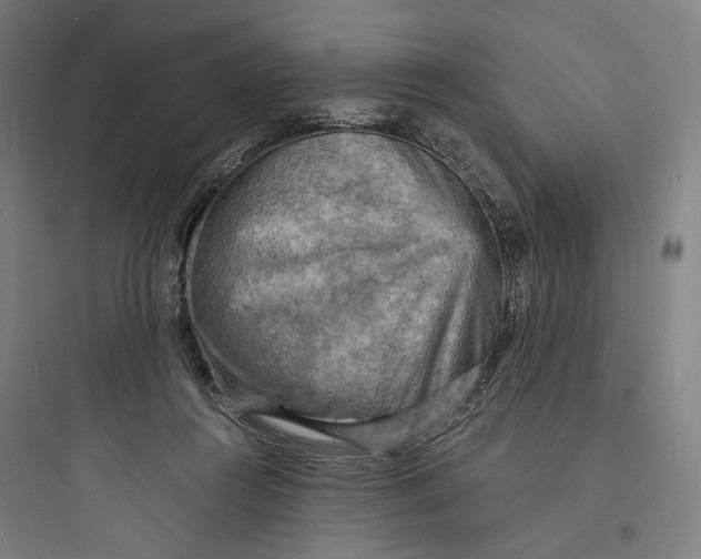 X0000093730360200711061006