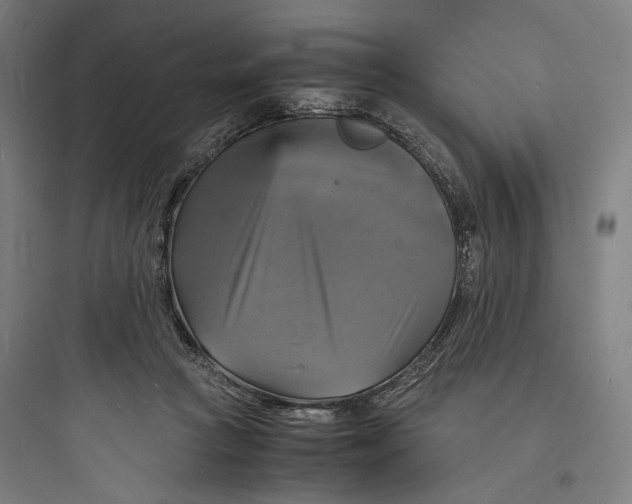 X0000093730361200711061006