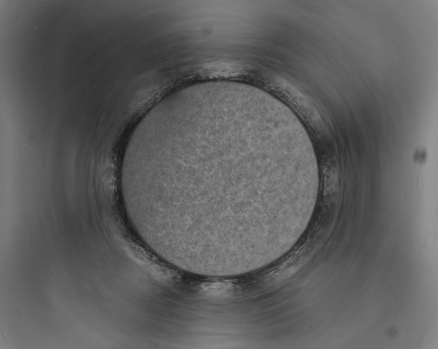 X0000093730362200711061006