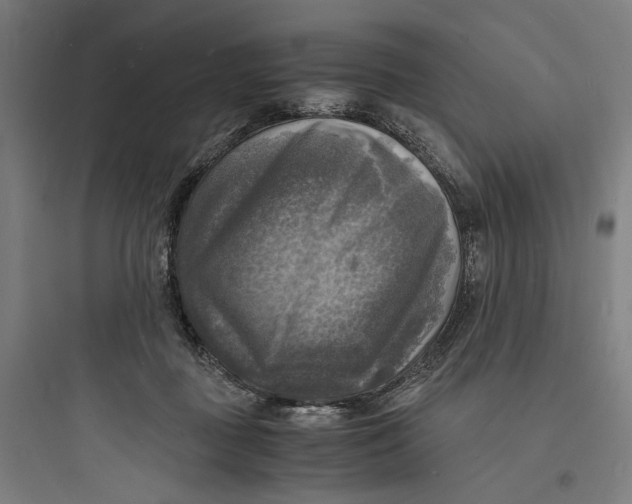 X0000093730363200711061006