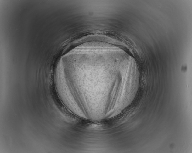 X0000093730364200711061006