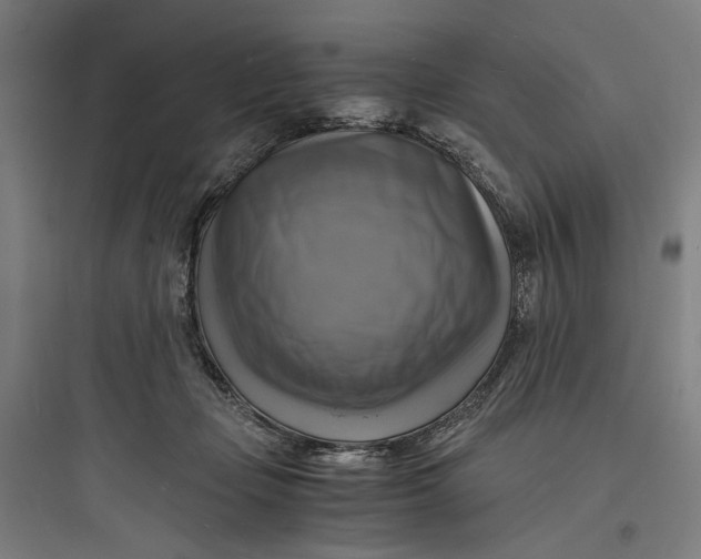 X0000093730365200711061006