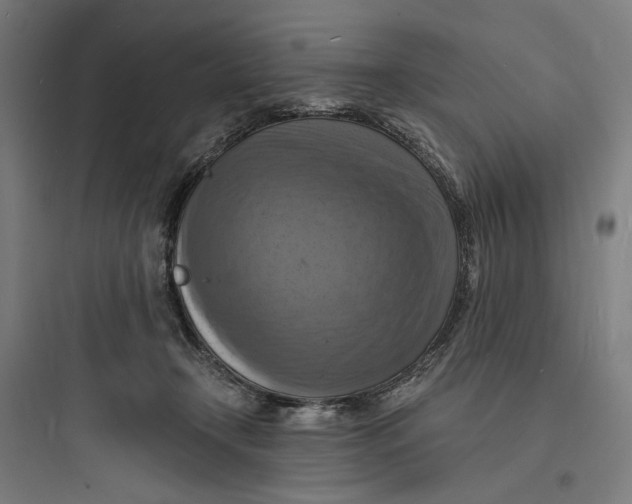 X0000093730366200711061006