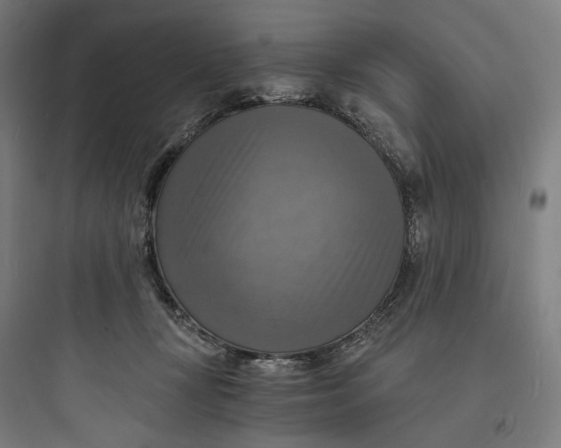 X0000093730367200711061006