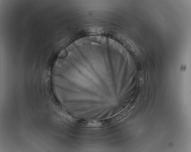 X0000093730369200711061006