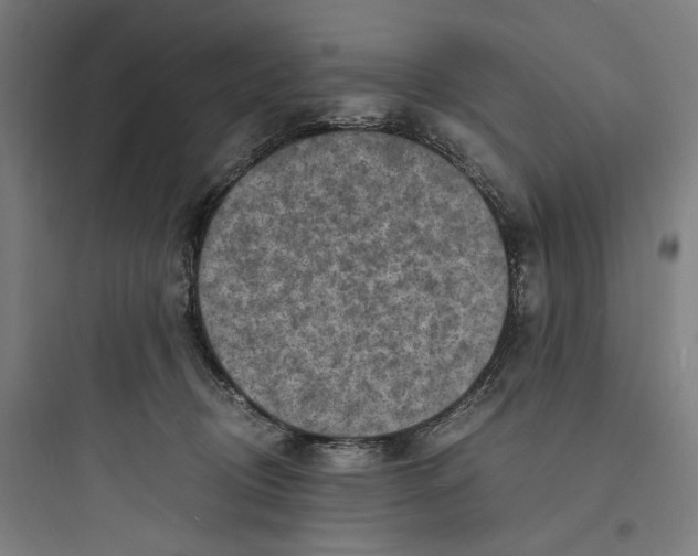 X0000093730370200711061006