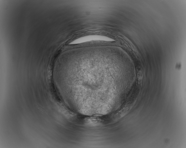 X0000093730372200711061006