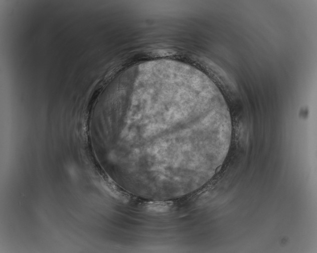 X0000093730373200711061006