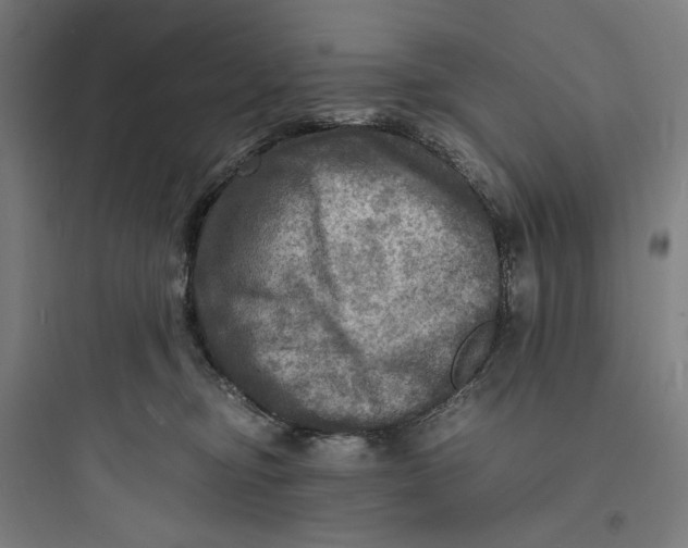 X0000093730374200711061006