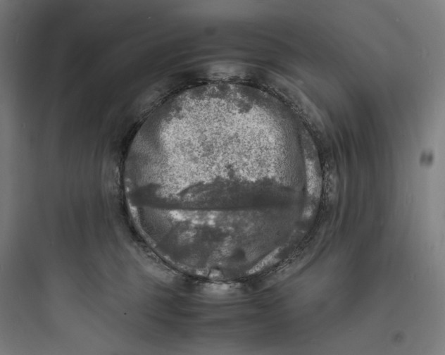 X0000093730375200711061006