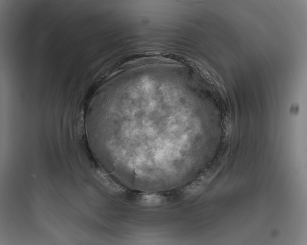 X0000093730376200711061006