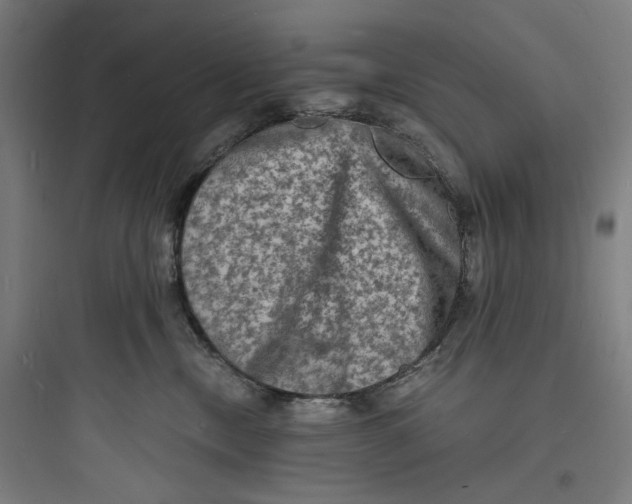 X0000093730378200711061006