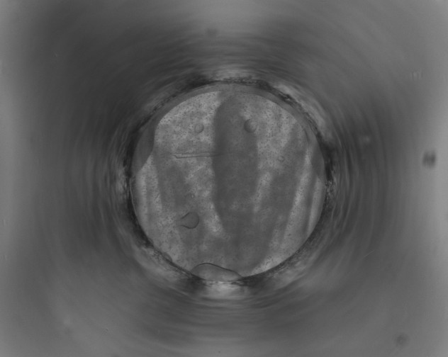 X0000093730380200711061006