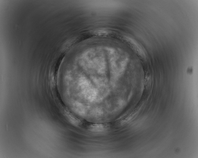 X0000093730381200711061006