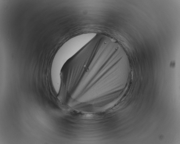 X0000093730382200711061006